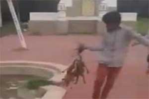 Hyderabad shocker: 3 puppies burned alive by 5 boys, one shoots video of grisly crime