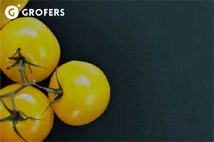 Grofers clocks Rs 24 lakh loss per day; CEO Dhindsa says worse is over