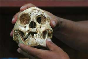 Fossil bones and stone tools can tell us a lot about human evolution, but certain dynamic behaviours of our fossil ancestors – like how they moved and interacted – are difficult to deduce from traditional forms of paleoanthropological data. (Reuters)