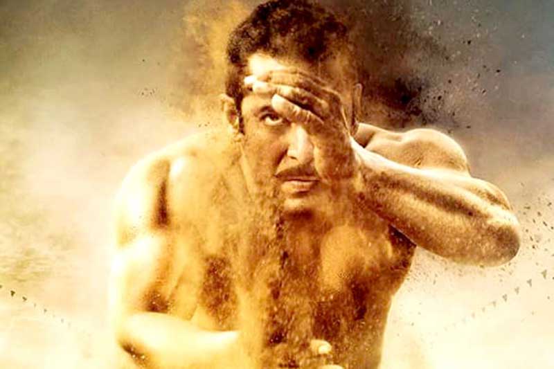 sultan, sultan box office collection, salman khan, sultan collection, sultan box office, sultan collection worldwide, sultan collection india, salman khan sultan, salman khan sultan box office, sultan total collection, sultan total collection worldwide, sultan total collection india, sultan movie, anushka sharma, sultan box office report, Entertainment News