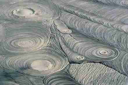 NZ looks to attract more tourists with Rotorua Mud Festival