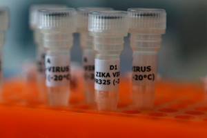 The Zika virus strain circulating in the current outbreak affecting Central and South America and the Caribbean is of the Asian lineage. (Reuters)