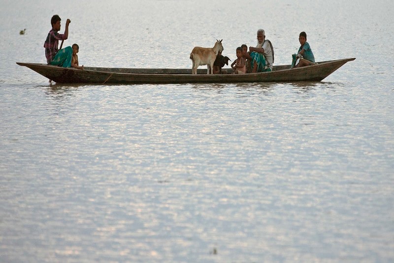 assam, assam flood, assam flood 2016, assam flood disaster, assam flood disaster casualties, assam flood relief, assam flood situation, assam flood reasons, assam india,kaziranga, kaziranga rhinos, kaziranga rhinos india, india floods 2016, india news