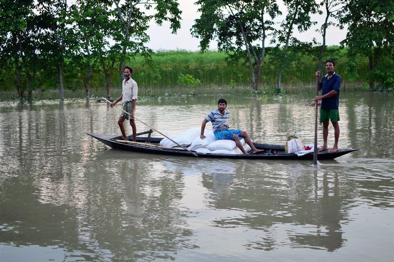 assam, assam flood, assam flood 2016, assam flood disaster, assam flood disaster casualties, assam flood relief, assam flood situation, assam flood reasons, assam india,kaziranga, kaziranga rhinos, kaziranga rhinos india, india floods 2016, india news