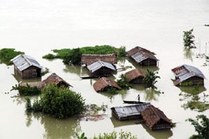 Twenty-six deaths have also been reported in Bihar and home collapses in 10 districts bordering Nepal.
