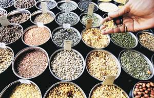 The Subramanian committee has been asked to submit its report in two week. (Source: IE)