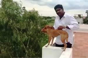 In the video the dog is seen to be shaking and whimpering and the man while smiling holds him by the neck and back. The man then drops the dog from the terrace and the sound of the dog crying in pain can be heard by the end of the video. 