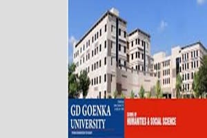 The G D Goenka University (GDGU) has joined hands with Google to provide world-class Android Developer education to its students. (Website)