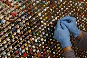 wockhardt bse sensex nse nifty wockhardt bse sensex nse nifty