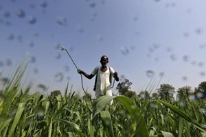 Crop protection and crop enhancement solutions, based on best global practices and the latest technologies available are the answer. (Reuters)