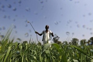 Crop protection and crop enhancement solutions, based on best global practices and the latest technologies available are the answer. (Reuters)
