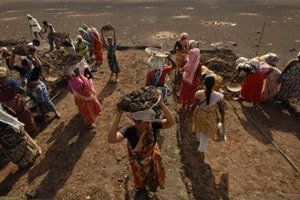 At present, agriculture workers in the central sphere are paid as per the rates prescribed under the national floor level minimum wage, which is Rs 160 per day. (Reuters)