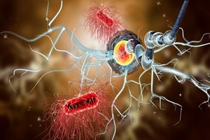 While scientists know that five to 10 per cent of Parkinson's cases are passed down genetically through families, they are still determining what's behind the majority of cases. (Source: IE)