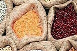 Multiple causes will require a broad-based response but one of the permanent solutions to the pollution problem must address paddy burning. (PTI)