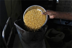According to the food ministry, Andhra Pradesh, Telangana, Chhattisgarh and Rajasthan, besides UTs Chandigarh and Andaman and Nicobar, have completed seeding of all the ration cards with Aadhaar. (Reuters) According to the food ministry, Andhra Pradesh, Telangana, Chhattisgarh and Rajasthan, besides UTs Chandigarh and Andaman and Nicobar, have completed seeding of all the ration cards with Aadhaar. (Reuters)