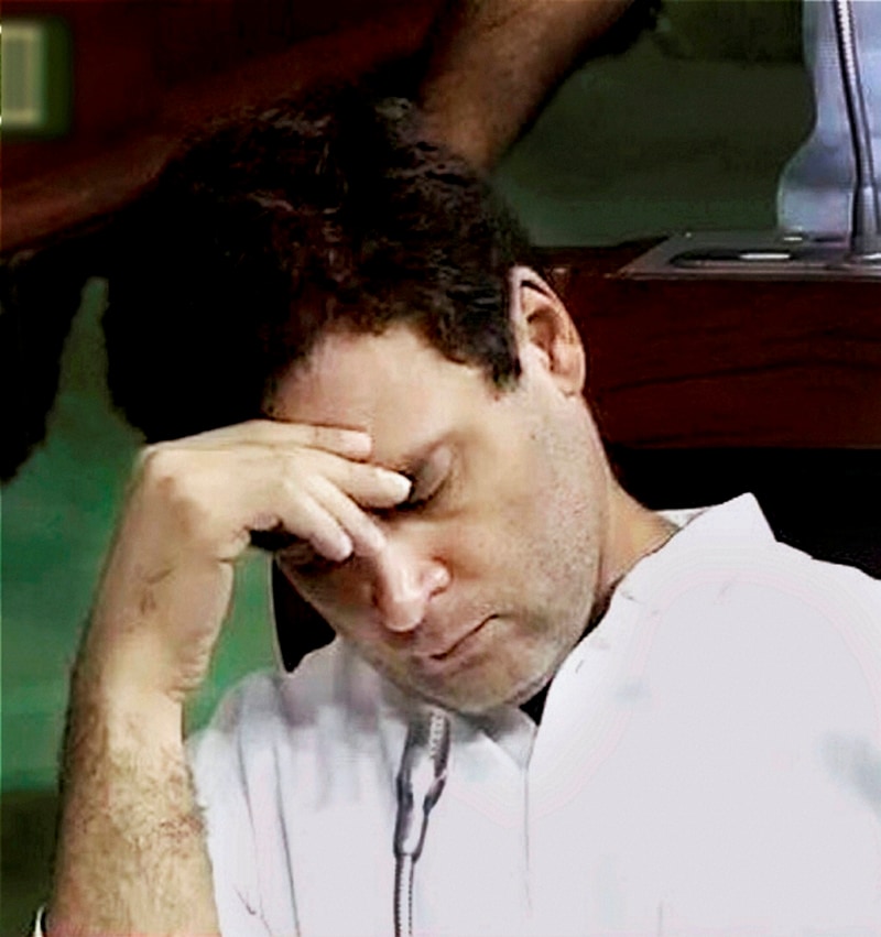 Rahul Gandhi sleeps, Rahul Gandhi news, Rahul Gandhi sleeping, Rahul Gandhi lok sabha