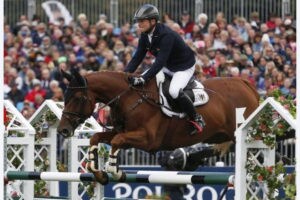The biggest and heaviest competitors in the Games are heading for Rio on charter flights from Europe and North America that can take 40 horses at a time. Most have done such journeys many times before (Reuters)
