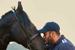 Sultan, Sultan box office, Sultan collections, Sultan box office collections, sultan collection, sultan collection till now, sultan collection 6th day, salman khan, salman khan sultan, salman khan twitter