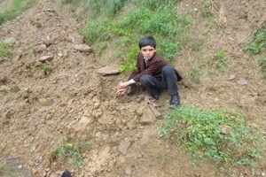 Akhilesh Yadav. Akhilesh Yadav news, Akhilesh Yadav latest, Akhilesh Yadav green drive, Akhilesh Yadav UP, Akhilesh Yadav green drive latest