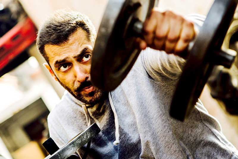 Sultan, Sultan box office, Sultan collections, sultan collection, Sultan 7th day collection, sultan collection 6th day, salman khan, salman khan sultan, sultan collection till now, Sultan box office collections, sultan collection worldwide, sultan collection tuesday, sultan collection expected, sultan collection prediction, entertainment