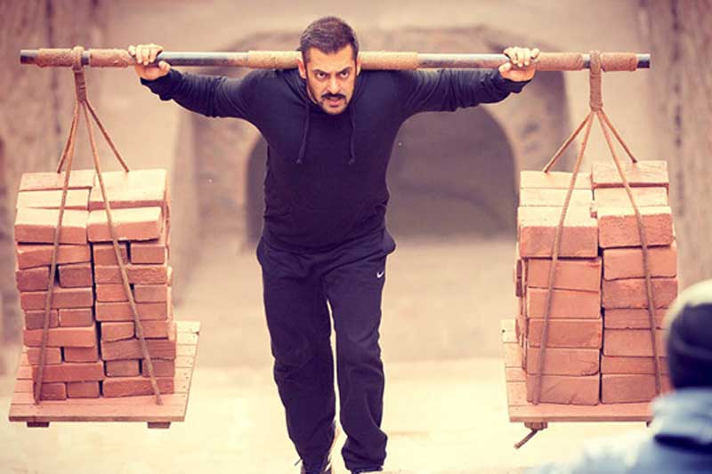 Sultan, Sultan box office, Sultan collections, sultan collection, Sultan 7th day collection, sultan collection 6th day, salman khan, salman khan sultan, sultan collection till now, Sultan box office collections, sultan collection worldwide, sultan collection tuesday, sultan collection expected, sultan collection prediction, entertainment