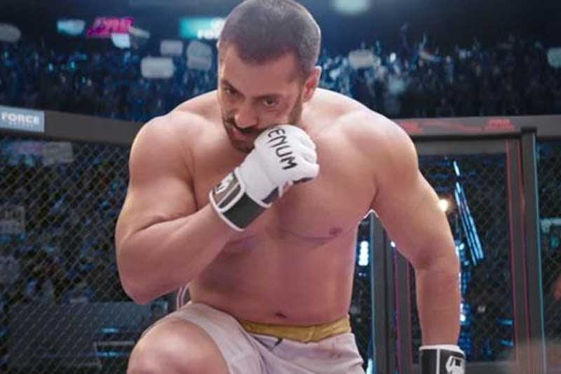 sultan collection, sultan collection till now, sultan collection total, sultan box office collection, sultan total revenue, Sultan movie collection, sultan total collection till date, salman khan, salman khan sultan, salman khan news, bollywood movie collection, box office collection, latest movie collection, financial express