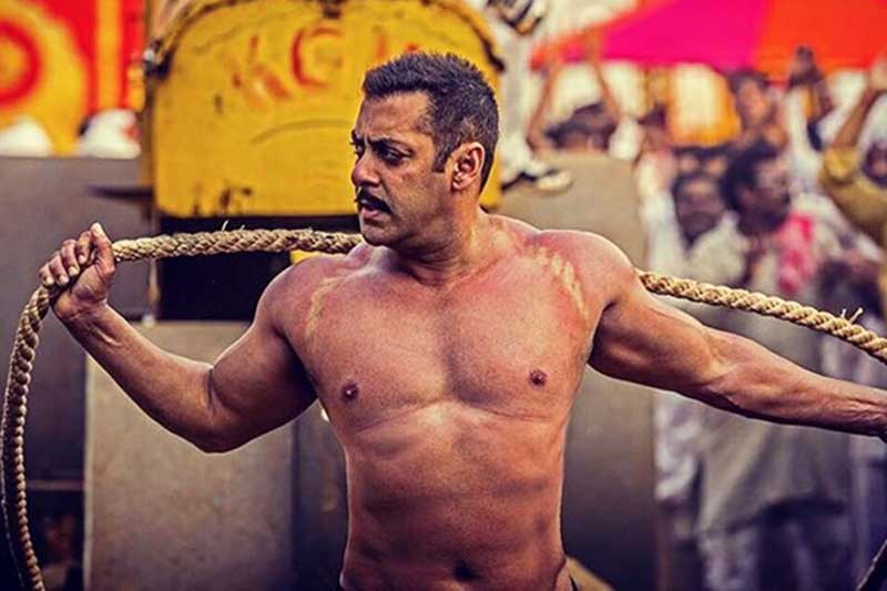 Sultan, Sultan box office, Sultan collections, sultan collection 13th day, sultan collection, salman khan, salman khan sultan, salman khan twitter, sultan collection till now, Sultan box office collections, sultan collection worldwide, anushka sharma, anushka sharma sultan, salman khan news, sultan collection tuesday, sultan collection prediction, sultan collection expected, bollywood, entertainment news