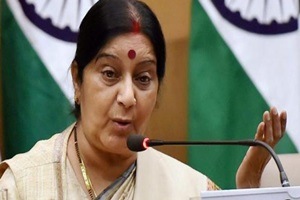 External Affairs Minister Sushma Swaraj called upon overseas Indians to send funds under the India Development Foundation (IDF) for projects of their choice which may even include building toilets in villages and rural areas. (PTI)
