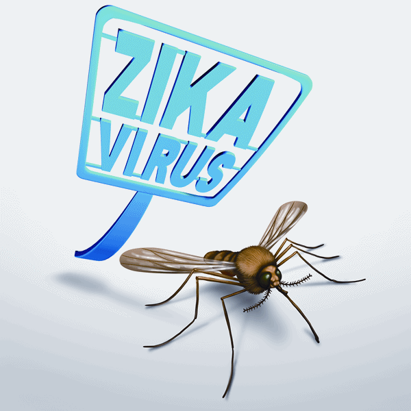 Zika Vaccine A Distant Dream?