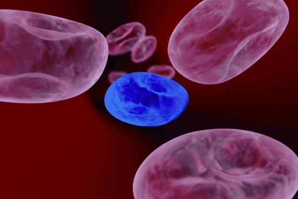 Stem cells improve blood vessel function following spinal cord injury Stem cells improve blood vessel function following spinal cord injury