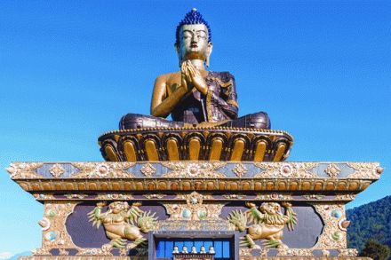 Sikkim: The Potential Pharma Hub