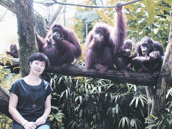 Wildlife Reserves Singapore taps leisure segment in India Wildlife Reserves Singapore taps leisure segment in India