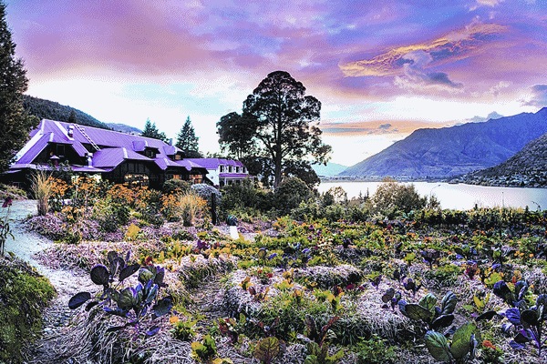 Tourism New Zealand targets independent Indian professionals Tourism New Zealand targets independent Indian professionals