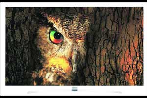 LG 55UH850T Super 4HD TV: Looks gorgeous, delivers clear picture