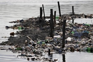 The AP's survey of the aquatic Olympic and Paralympic venues has revealed consistent and dangerously high levels of viruses from the pollution, a major black eye on Rio's Olympic project that has set off alarm bells among sailors, rowers and open-water swimmers. (Reuters) The AP's survey of the aquatic Olympic and Paralympic venues has revealed consistent and dangerously high levels of viruses from the pollution, a major black eye on Rio's Olympic project that has set off alarm bells among sailors, rowers and open-water swimmers. (Reuters)