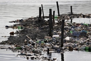 The AP's survey of the aquatic Olympic and Paralympic venues has revealed consistent and dangerously high levels of viruses from the pollution, a major black eye on Rio's Olympic project that has set off alarm bells among sailors, rowers and open-water swimmers. (Reuters) The AP's survey of the aquatic Olympic and Paralympic venues has revealed consistent and dangerously high levels of viruses from the pollution, a major black eye on Rio's Olympic project that has set off alarm bells among sailors, rowers and open-water swimmers. (Reuters)