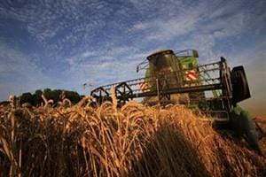 Officials in the Tamil Nadu government preferring anonymity told IANS that public sector Agricultural Insurance Company of India Ltd (AIC) and New India Assurance Company Ltd have bagged one cluster each in the state. (Source: Reuters)