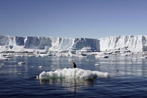 The report released by the International Union for Conservation of Nature (IUCN) said they involve a mix of food and water factors, and the evolution of various types of risk. (Reuters)