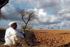 Under CSPCO, the ministry fixed the price of cottonseed sales at an ‘uniform’ level and the maximum trait-fee payable to the technology-provider (TP). Given GM Bt cotton accounts for 98% total cottonseeds used in India, the decision was directed primarily at this segment.