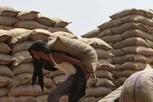 A delegation of FCI employees called on the minister to express gratitude for introduction of pension and post retirement medical schemes. (PTI) A delegation of FCI employees called on the minister to express gratitude for introduction of pension and post retirement medical schemes. (PTI)