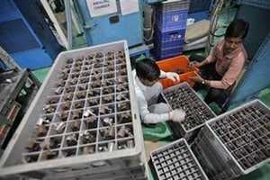 Referring to reports that salaries in China have grown by 10.6 per cent since 2008, while India has seen a salary growth of just 0.2 per cent during the same period, it said. (Reuters) 