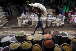 The government expects pulses production to increase to 20 million tonnes in the 2016-17 crop year (July-June) from 16.47 million tonnes in the previous year. (Reuters)