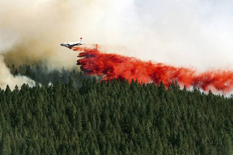 california wildfire, wildfire, wildfire images, fire images, forest fire, wildfire in california, california wildfire 2016, wildfire in califonia 2016, yellowstone national park, world news, natural disasters