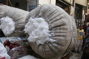 Rising hostilities between India and Pakistan have brought their $822 million-a-year trade in cotton to a juddering halt, as traders who are worried about uncertainty over supplies and driven by patriotism hold off signing new deals. (Reuters) Rising hostilities between India and Pakistan have brought their $822 million-a-year trade in cotton to a juddering halt, as traders who are worried about uncertainty over supplies and driven by patriotism hold off signing new deals. (Reuters)
