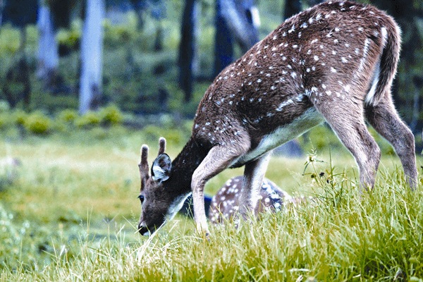 “First ever IATO convention in Chennai will do a lot of good for TN tourism”
