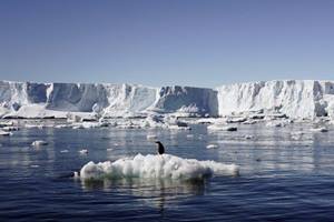 Understanding Antarctic climate change is important not only because of the potential sea level rise locked up in the vast Antarctic ice sheet, but also the shift in the westerly winds has moved rainfall away from southern Australia. (Reuters)