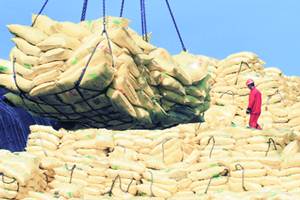 No headway in non-basmati export deal with Indonesia No headway in non-basmati export deal with Indonesia