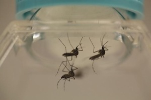 Out of the 10 resident doctors of VS Hospital, seven have been discharged while three are still undergoing treatment at the hospital, AMC's hospital committee chairman Bharat Patel said. (Source: Reuters)