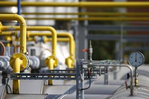We can use the bio-mass that comes from that as an asset to produce fuel that sustains. Urban areas can use the bio-gas from landfills. (Reuters)