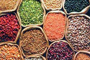 Cabinet likely to extend stock limits on pulses tomorrow